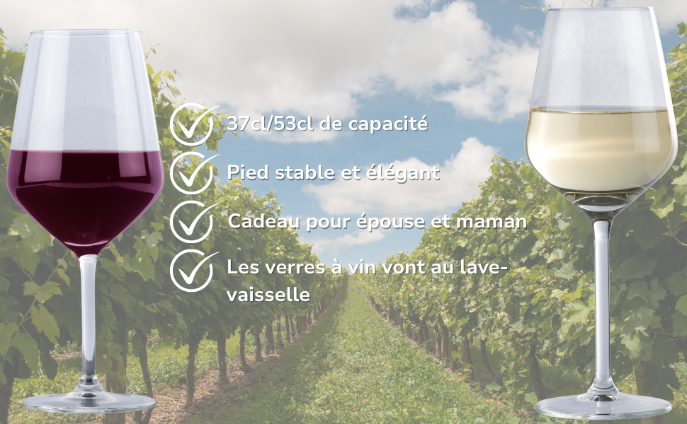verre à vin, verres, verre a pied, vins rouges, verre vin, vin blanc