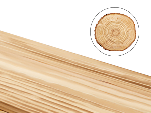 Gros plan de la texture du grain du bois de couleur claire, montrant des anneaux de croissance annuels. Un encart circulaire met en valeur le centre d'une coupe transversale en bois