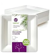 GoBeTree 100 Assiettes Jetables carrées 26 cm en Canne à Sucre Blanche, assiettes en papier jetab...