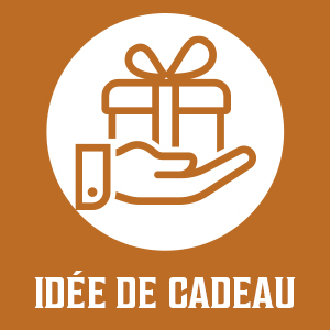 Icône carrée orange avec encart circulaire blanc représentant une main stylisée tenant une boîte-cadeau. Le texte ci-dessous indique « IDÉE DE CADEAU » en blanc.
