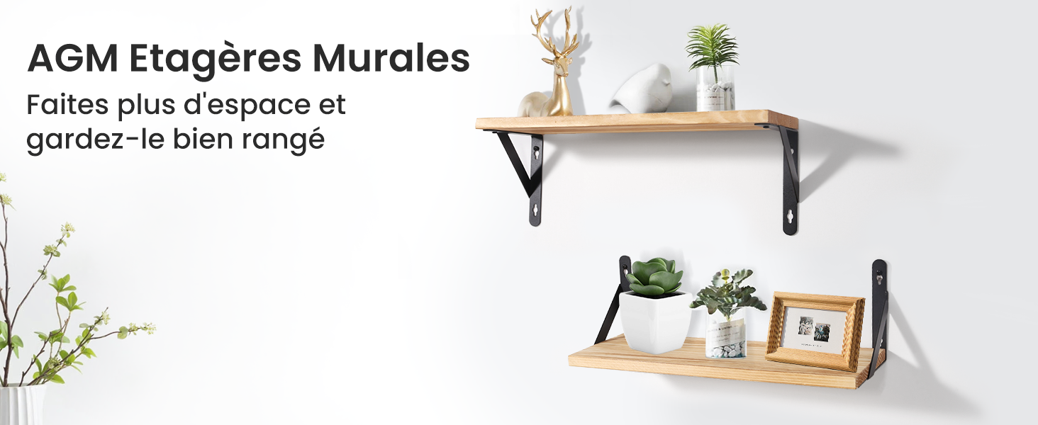 Deux étagères murales en bois avec supports métalliques noirs. L'étagère supérieure contient des plantes et des objets de décoration. L'étagère inférieure présente des livres, des plantes et un cadre photo.