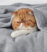 Chat tigré orange dormant sur une literie grise. Les yeux du chat sont fermés et il semble se reposer confortablement.