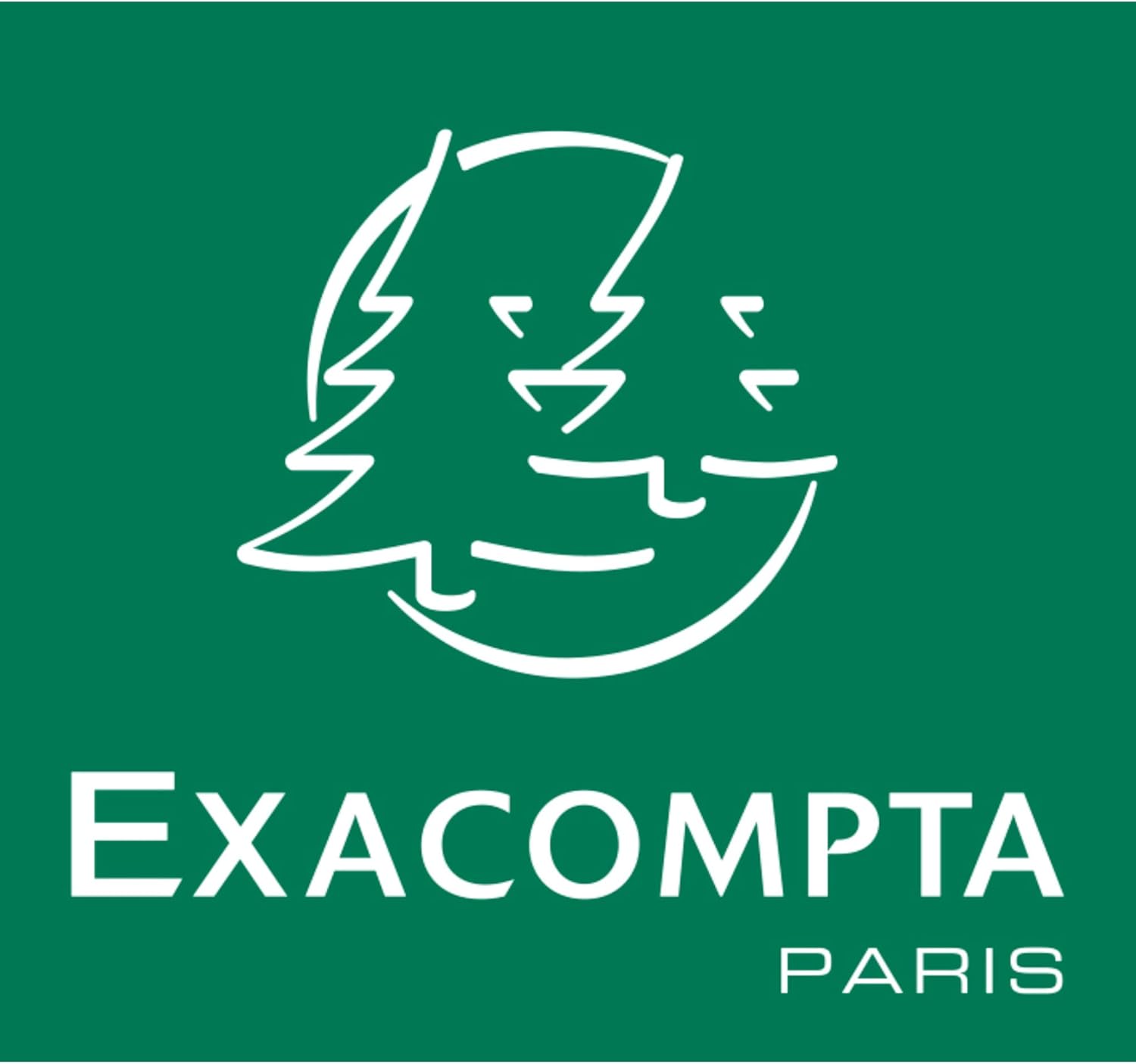Exacompta - Corbeille à papier ECOBIN, 15L, poignées, noir - 453014D
