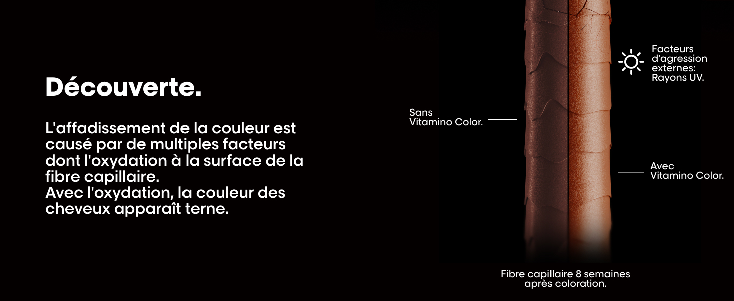 L'Oréal Professionnel