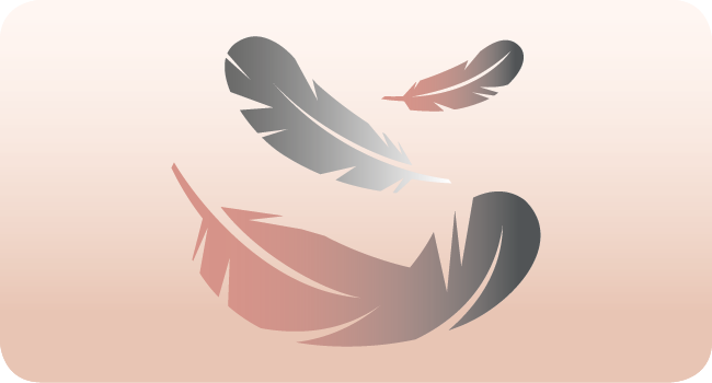 poids plume, léger, sèche-cheveux