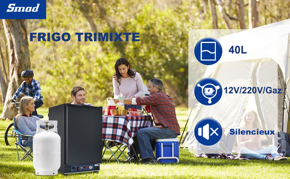 , capacité de 40 L, options d'alimentation 12 V/220 V/gaz, fonctionnement silencieux. Présenté dans un décor de pique-n---- en plein air avec réservoir de propane.