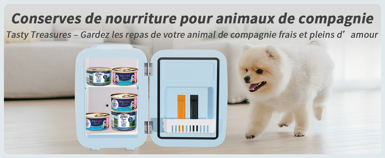 mini réfrigérateur