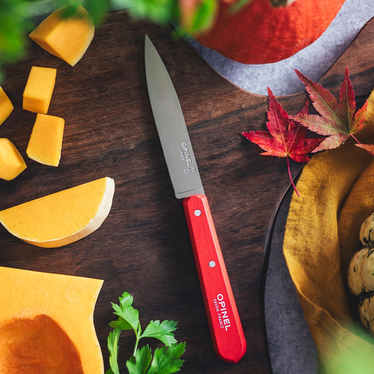 Opinel - Coffret N°112 - 4 couteaux 10cm - lame inox, fabrication française