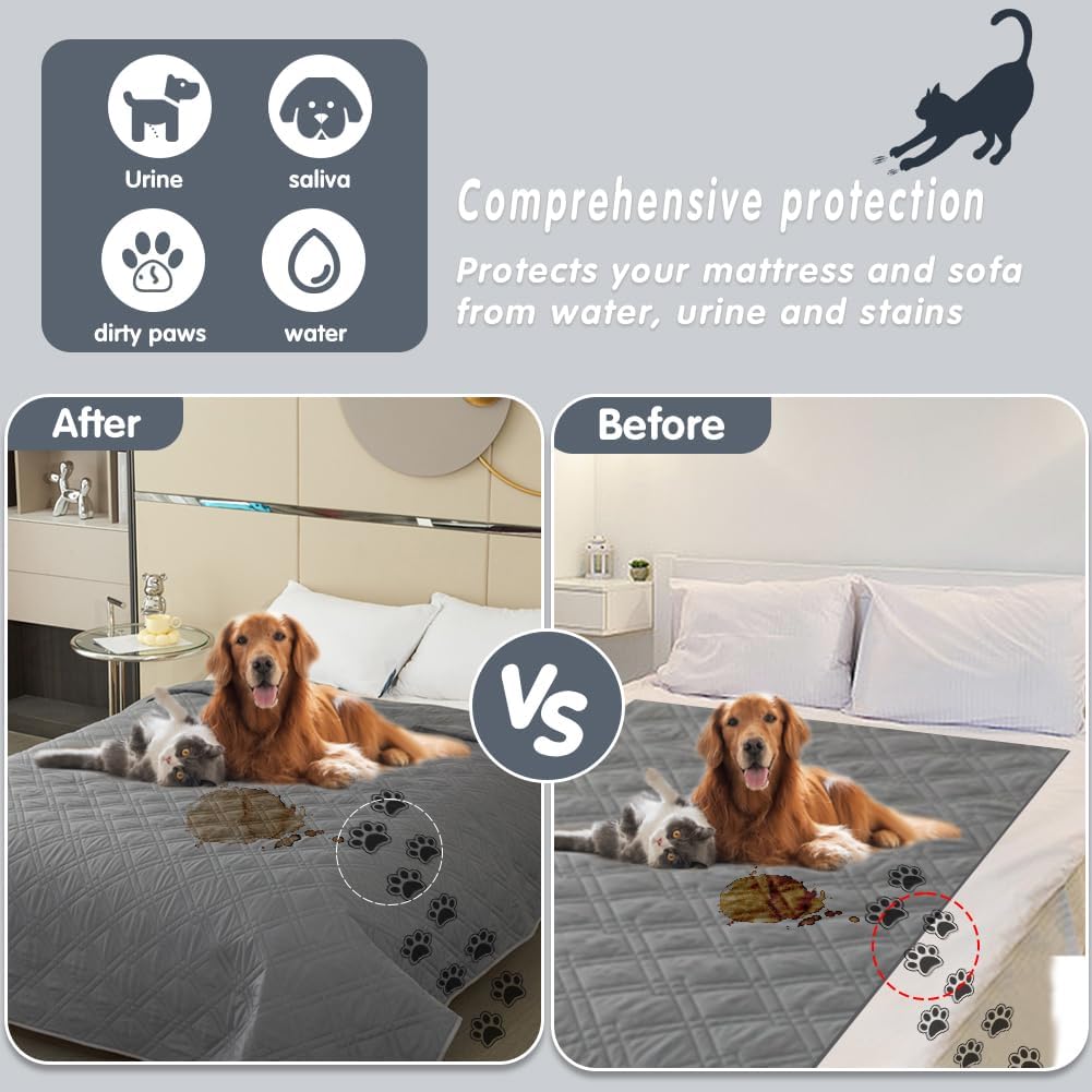 DUJUIKE - Housse canapé imperméable, antidérapante, 173-208 cm, protection animaux