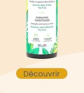 en forme d'arbre à thé avec motif de feuilles vertes. Texte en français visible avec le bouton « Découvrir » ci-dessous.