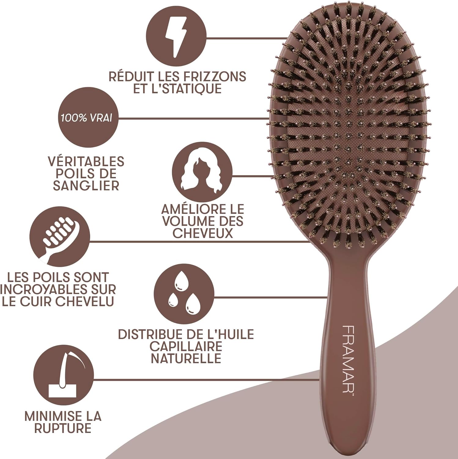 FRAMAR - brosse poils sanglier souple chocolat - effet plaqué, volume, brillance