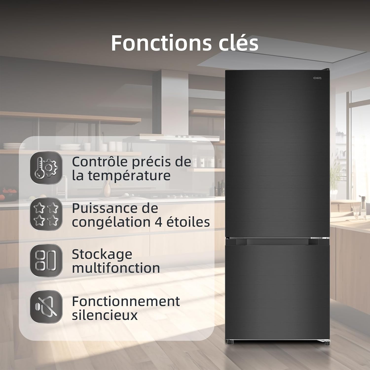 CHIQ - FBM205L42 - 205L, acier noir, 39dB, faible givre, portes réversibles