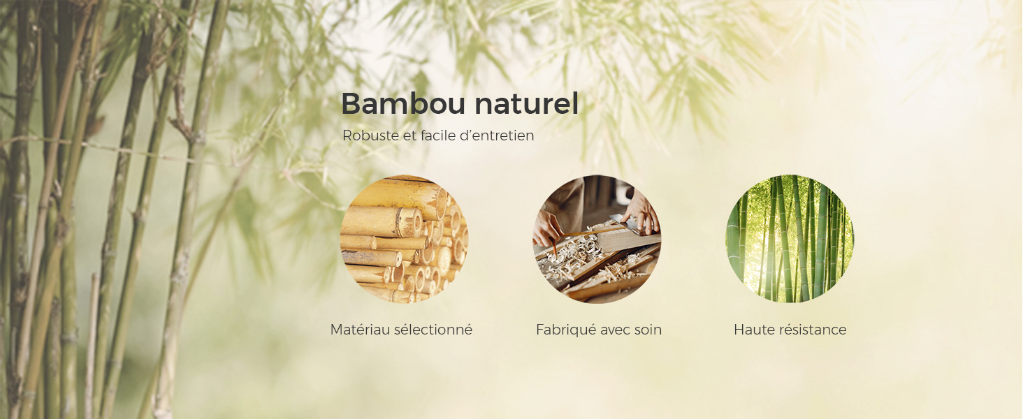 Présentoir informatif en bambou naturel avec trois images circulaires montrant des tiges, des textures et des matériaux de bambou, sur un fond de bambou doux