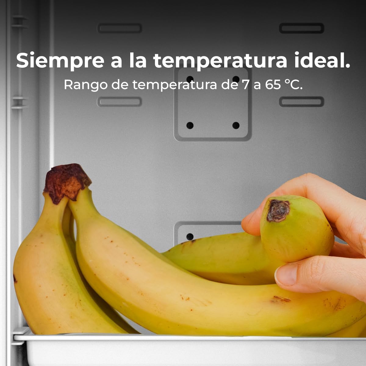 Cecotec - Bolero MiniCooling Bahamas Black - 25L - Compact, 12V/220V, froid 7°C, chaud 65°C