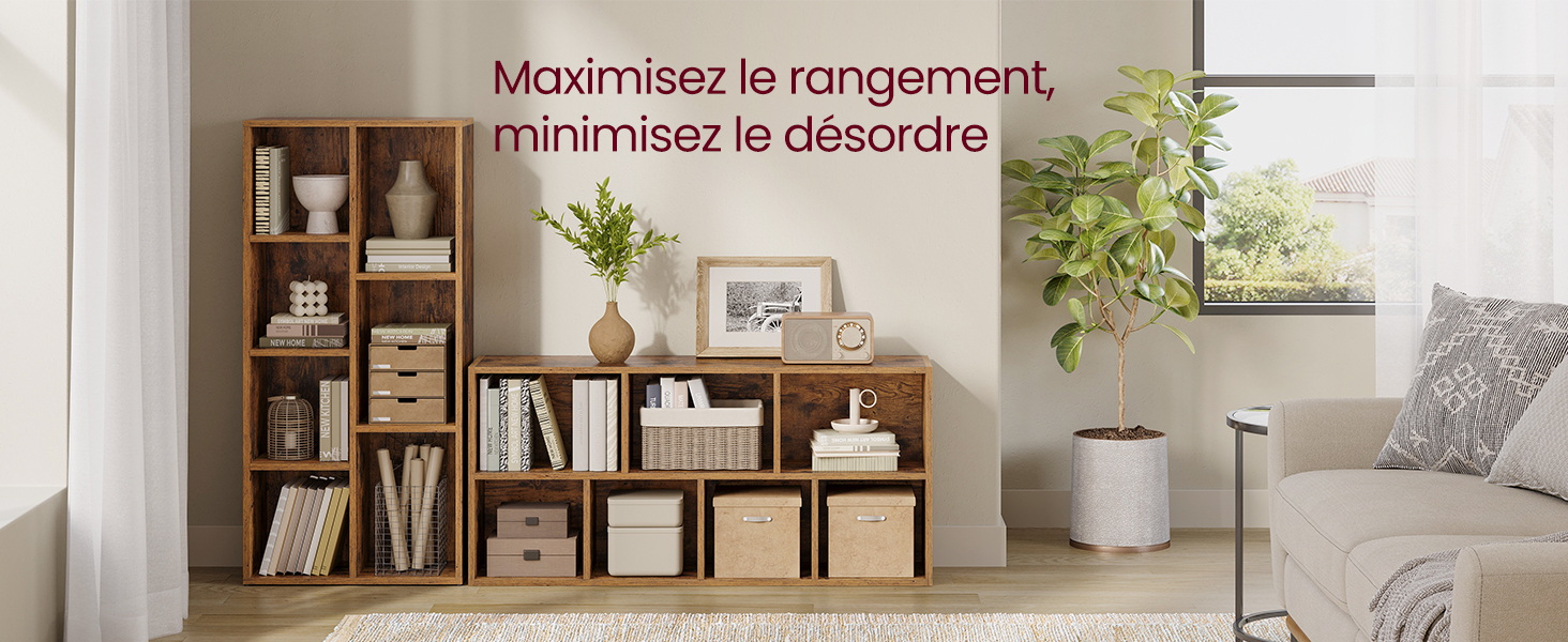 un salon avec une plante et une étagère avec des livres.