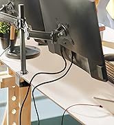 un bureau avec un écran d'ordinateur et une plante