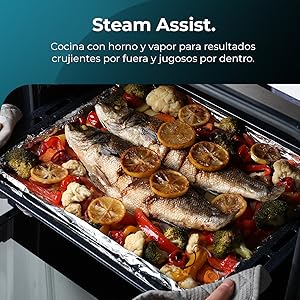 Mode Grill / Chaleur basse / Chaleur conventionnelle / Steam Assist / Steam EasyClean