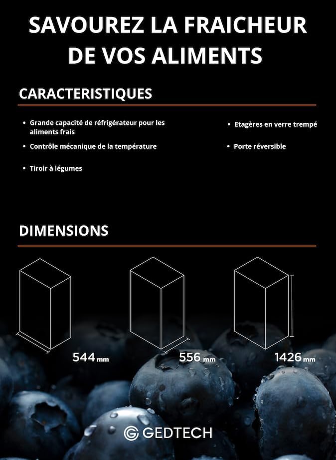 GEDTECH - réfrigérateur simple porte - 230L - classe E, GSP230SL