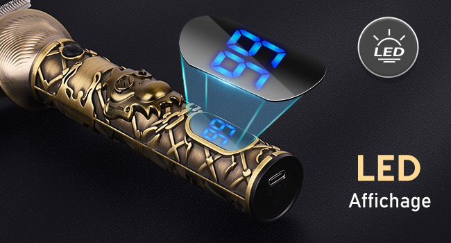 Appareil cylindrique avec motif complexe et affichage LED bleu indiquant l'heure. Texte « Affichage LED » visible dans le coin de l'image
