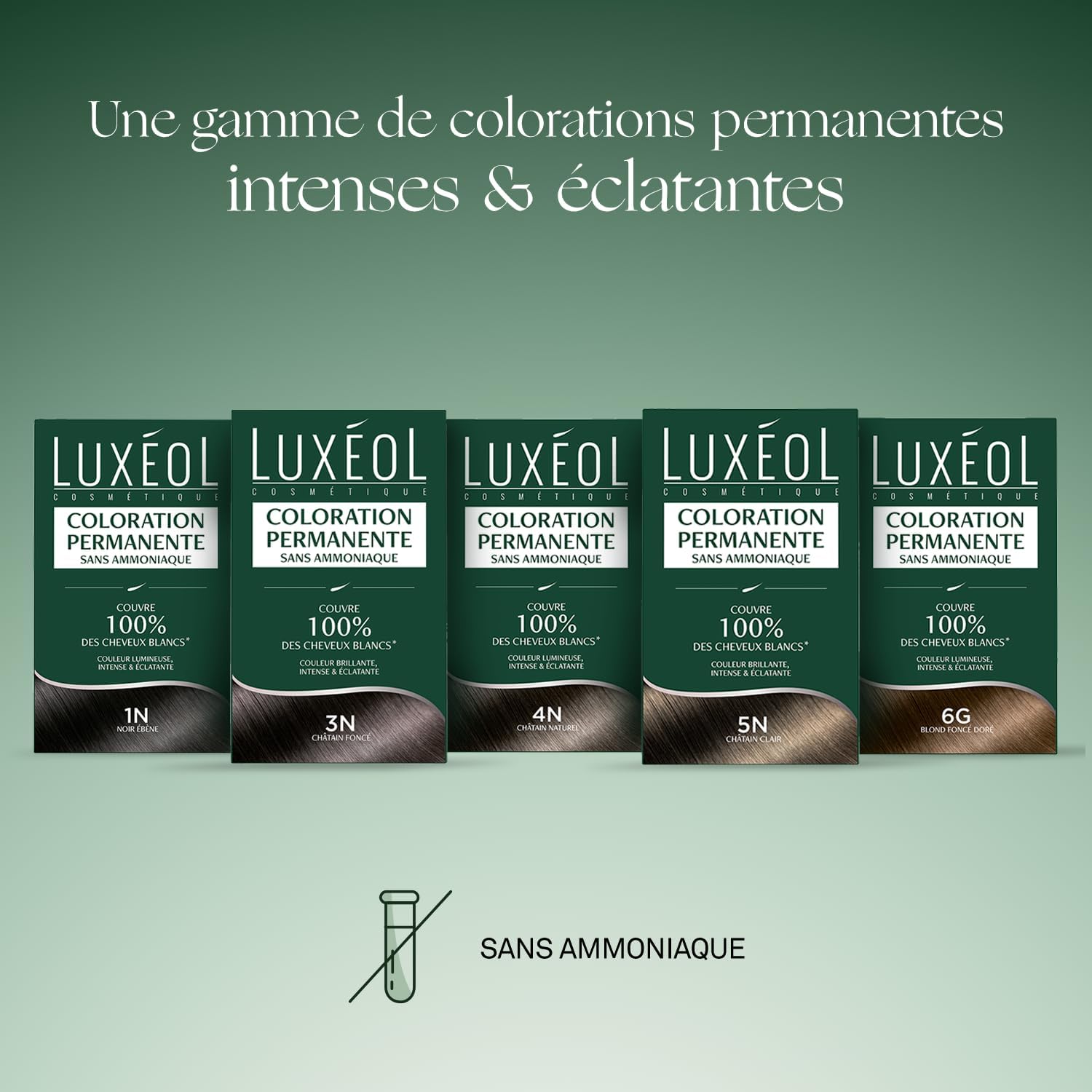 Luxéol - Coloration Permanente 1N - 60ml - Noir, sans ammoniaque, couvre 100% cheveux blancs