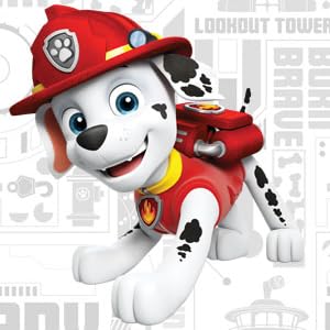 Pat'Patrouille Héros pour chien sur 4 pattes Chase Marshall Rocky Zuma Rubble Skye Ryder Petit enfant