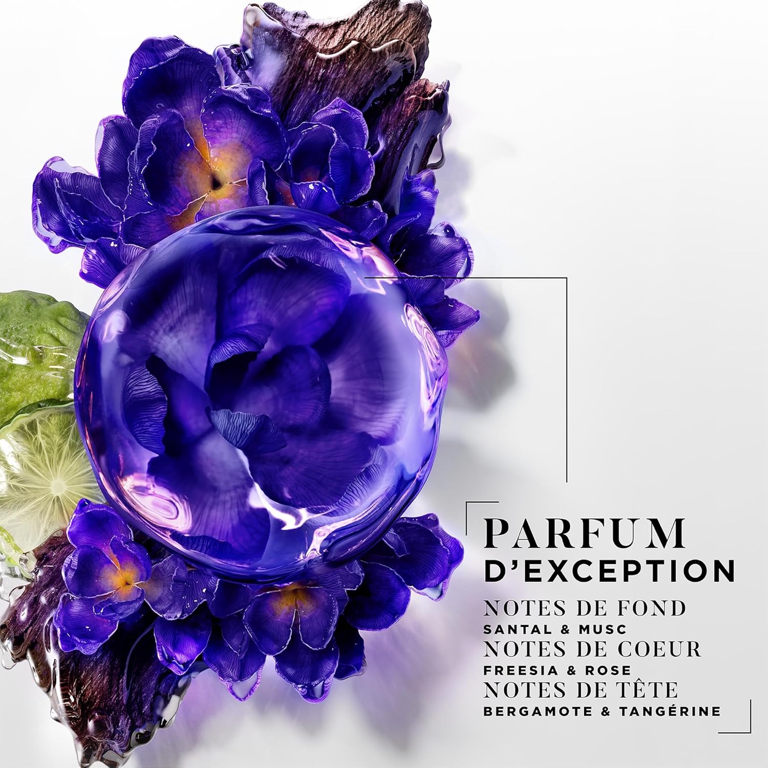 Dessange - Nutri-Illuminant Blond Californien - 2x280ml - Nourrit, illumine cheveux blonds