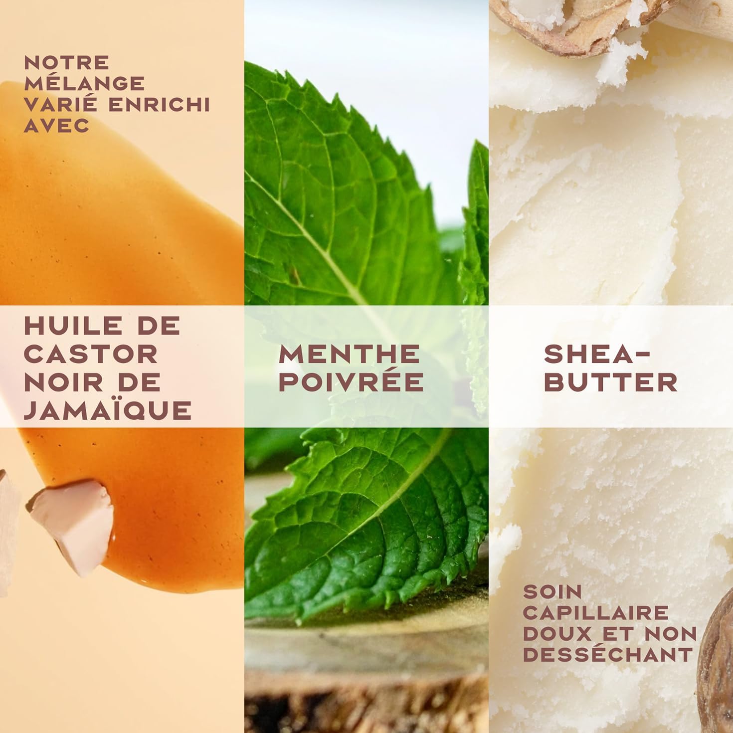 Shea Moisture - Huile de ricin noir - 431 ml - après-shampooing sans rinçage pour cheveux naturels