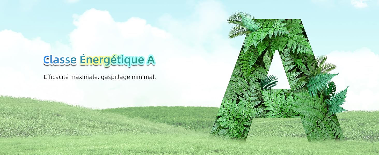 Grande lettre « A » faite de feuilles de fougère verte sur une colline herbeuse. Texte « Classe Energétique A » visible, indiquant la cote d'efficacité énergétique