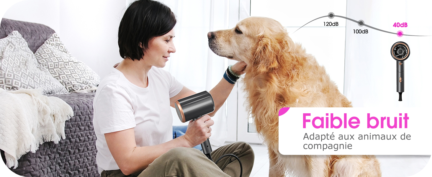 utilisé sur un golden retriever. L'appareil dispose d'une puissance de 1200 W et d'un niveau sonore de 40 dB. Le texte indique qu'il est silencieux et qu'il convient aux animaux de compagnie