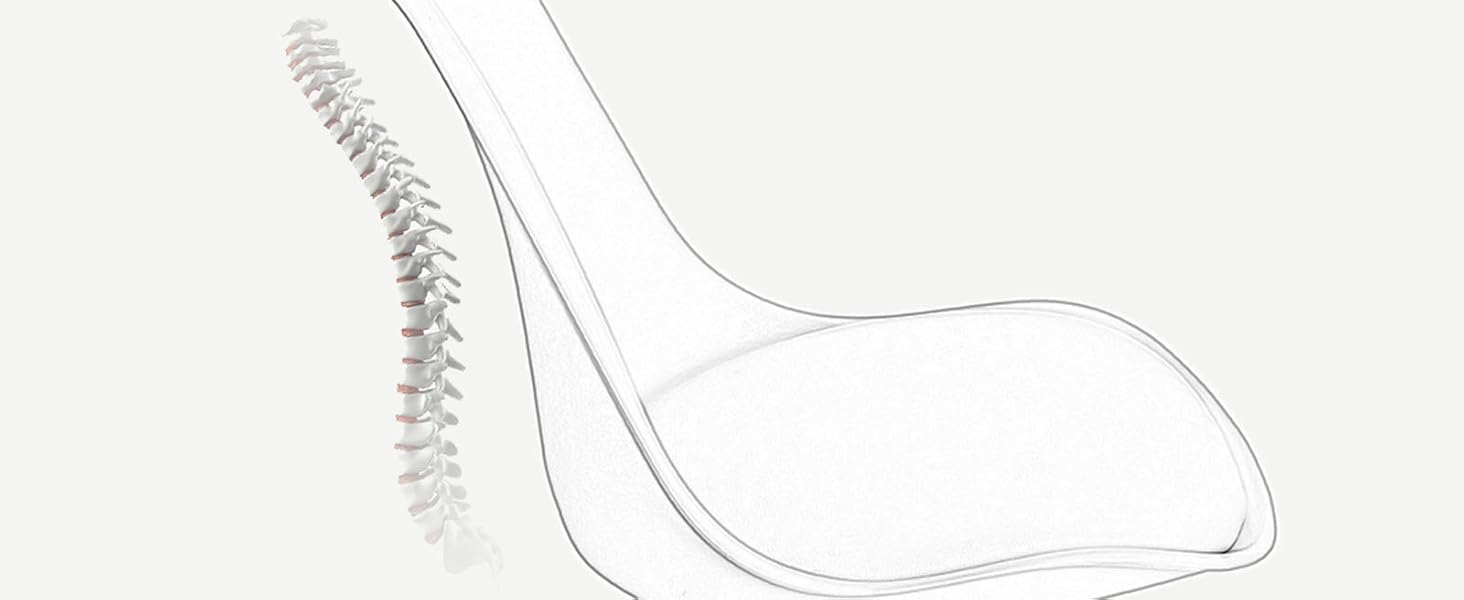 Schéma d'une chaise avec dossier incurvé, mettant l'accent sur le soutien de la colonne vertébrale. Le texte met l'accent sur le confort lors de longues périodes assises.