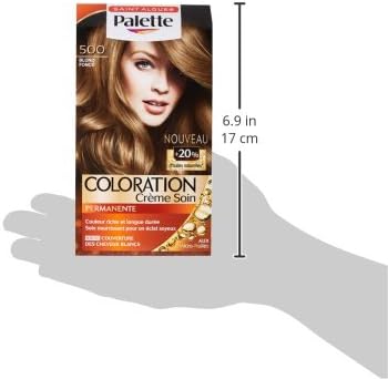 Palette - Intensive Coloration Permanente Cheveux soin, tenue 8 semaines, Blond Foncé 500