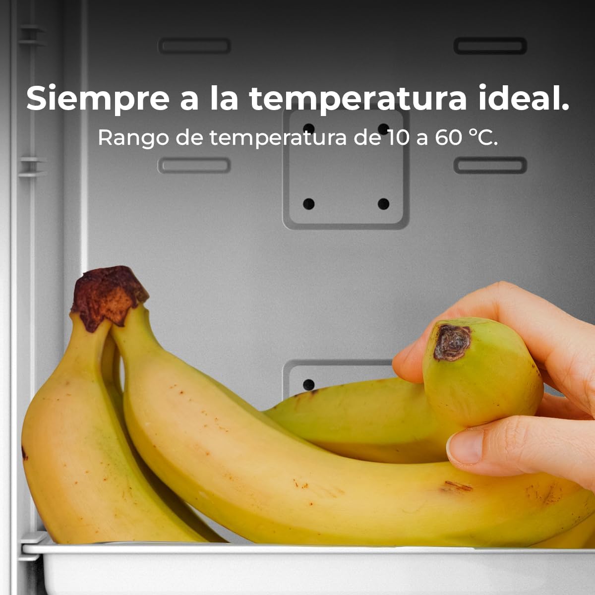 Cecotec - Bolero MiniColing 25L - mini frigo 20L, 12-220V, chaud/froid, 7-65°C