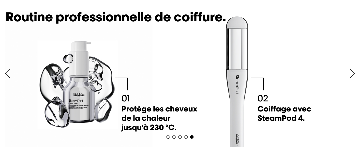 Le texte se lit comme suit : « Routine professionnelle de coiffure ». Schéma montrant des illustrations de techniques de coiffure professionnelles avec des instructions textuelles en français.