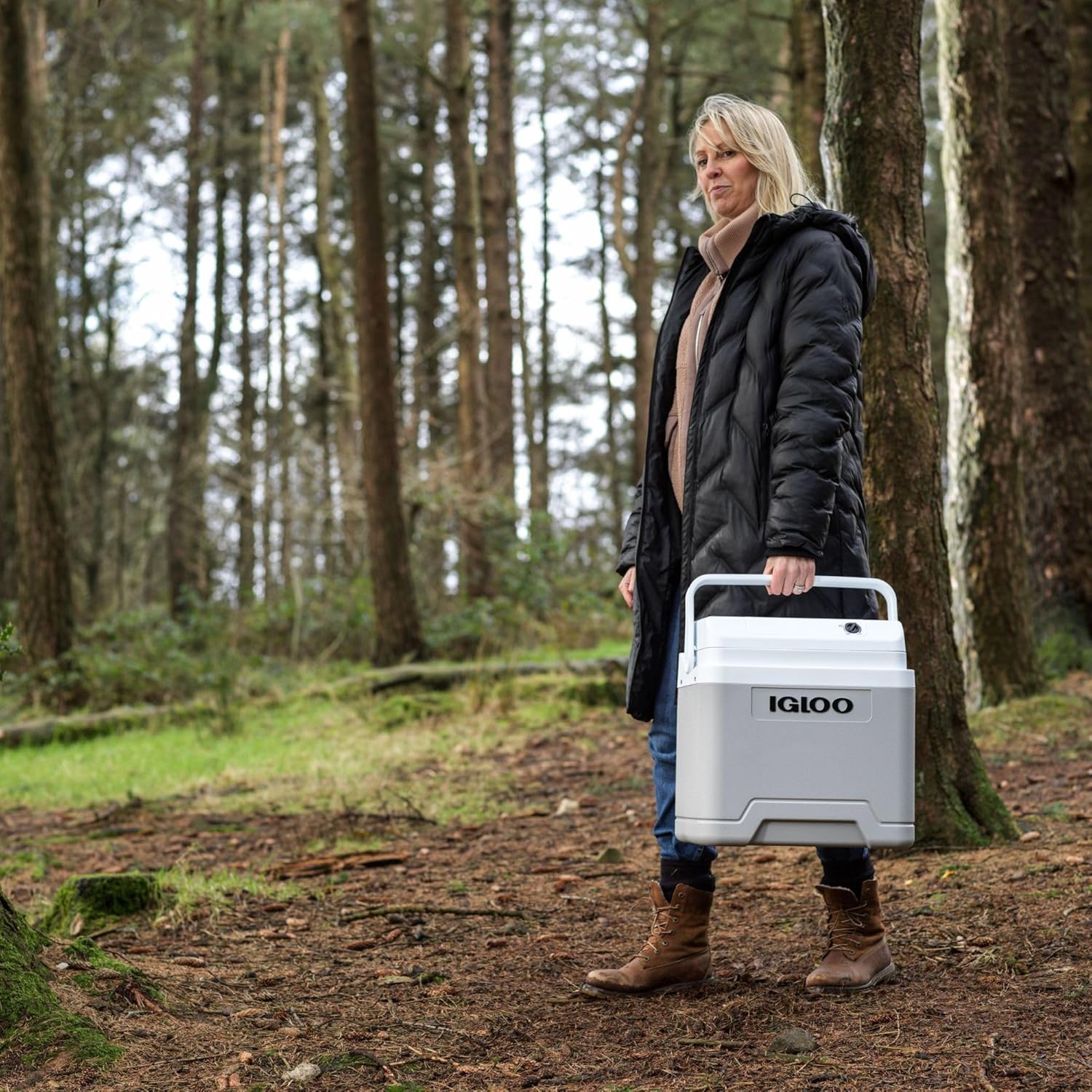 IGLOO - glacière électrique série - grande capacité, maintien au froid