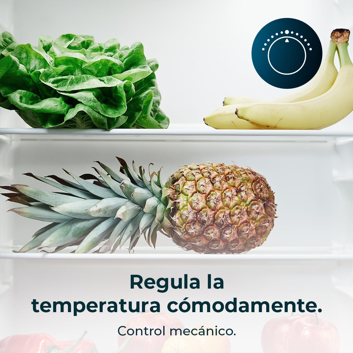 Cecotec - Bolero CoolMarket TT - compact, 114L, LED, porte réversible, TT114L