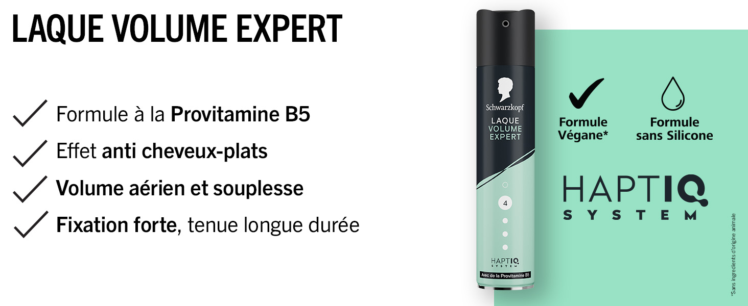 Le texte indique « LAQUE VOLUME EXPERT » et « HAPTIQ ». Emballage du produit vert et noir avec des symboles cochés et un minimum de texte visible.